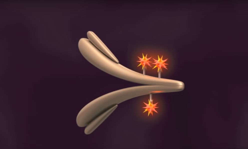 东曜药业：深度布局抗肿瘤ADC药物的研发及商业化