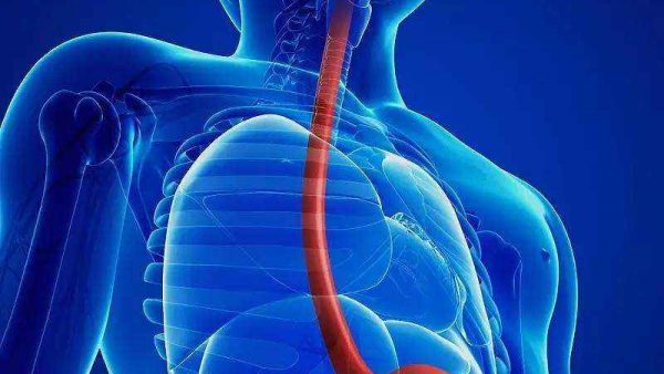 欧狄沃（纳武利尤单抗）联合化疗及欧狄沃联合伊匹木单抗治疗晚期不可切除或转移性食管鳞癌患者均可带来显著生存获益