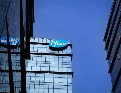 辉瑞恢复讲课费