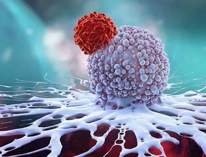 加码CAR-T全球化，普瑞金与印度瑞迪博士达成合作