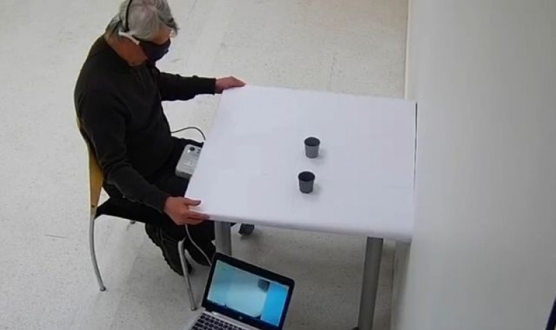 全球首例基因疗法恢复失明男子部分视力