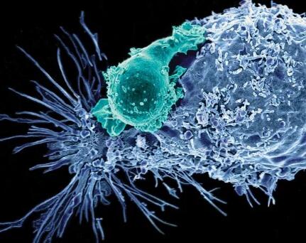 Nature最新：全球癌症细胞治疗研发和临床盘点