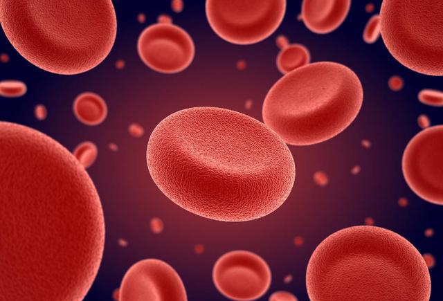 百时美施贵宝与Acceleron公布罗特西普治疗成人非输血依赖性（NTD）β-地中海贫血II期BEYOND研究首次结果