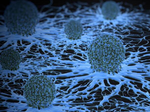 第四款溶瘤病毒产品获批