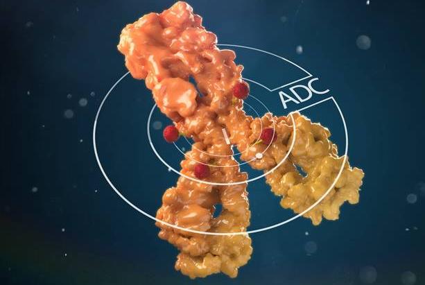 百时美施贵宝豪掷31亿美元开发一款ADC药物