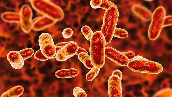 基石药业将在2021年欧洲肿瘤内科学会（ESMO）年会上口头报告艾伏尼布的中国注册桥接研究临床数据