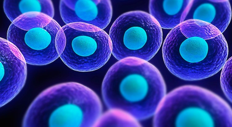 CDE：《人源性干细胞产品药学研究与评价技术指导原则（征求意见稿）》