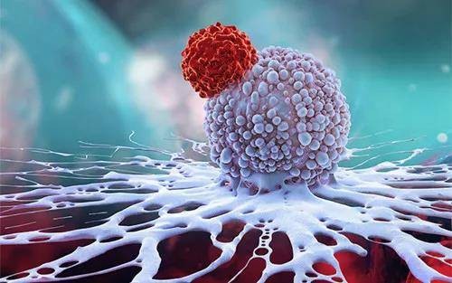 国内首款CAR-T细胞产品获突破性治疗品种认定，累计研发投入超7亿元