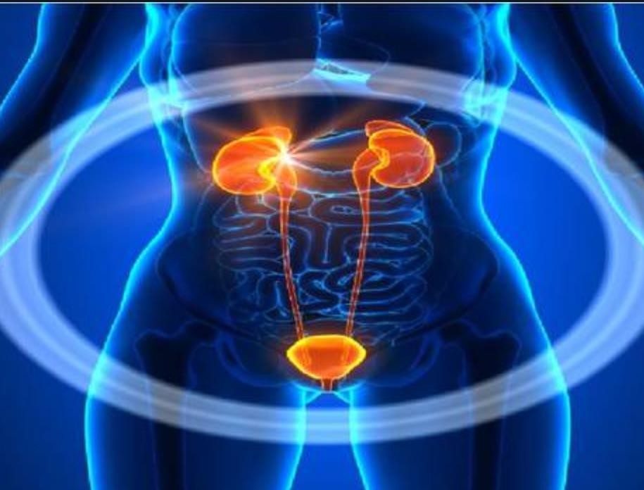 欧狄沃获FDA批准成为全球首个用于尿路上皮癌的免疫辅助治疗