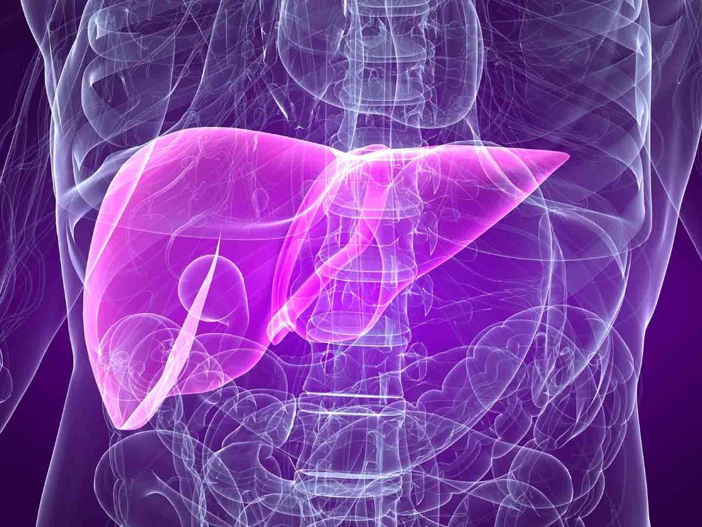 全球首个！美国FDA批准基石药业精准治疗药物艾伏尼布用于治疗IDH1突变胆管癌