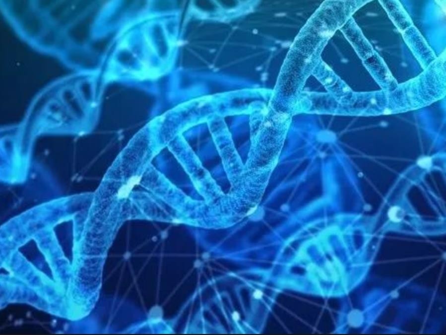 NeuExcell Therapeutics 和 Spark Therapeutics 宣布达成研究合作协议，为亨廷顿舞蹈症开发新型基因疗法