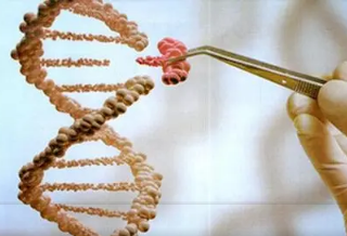 AAV整合致癌风险，BioMarin基因疗法被叫停