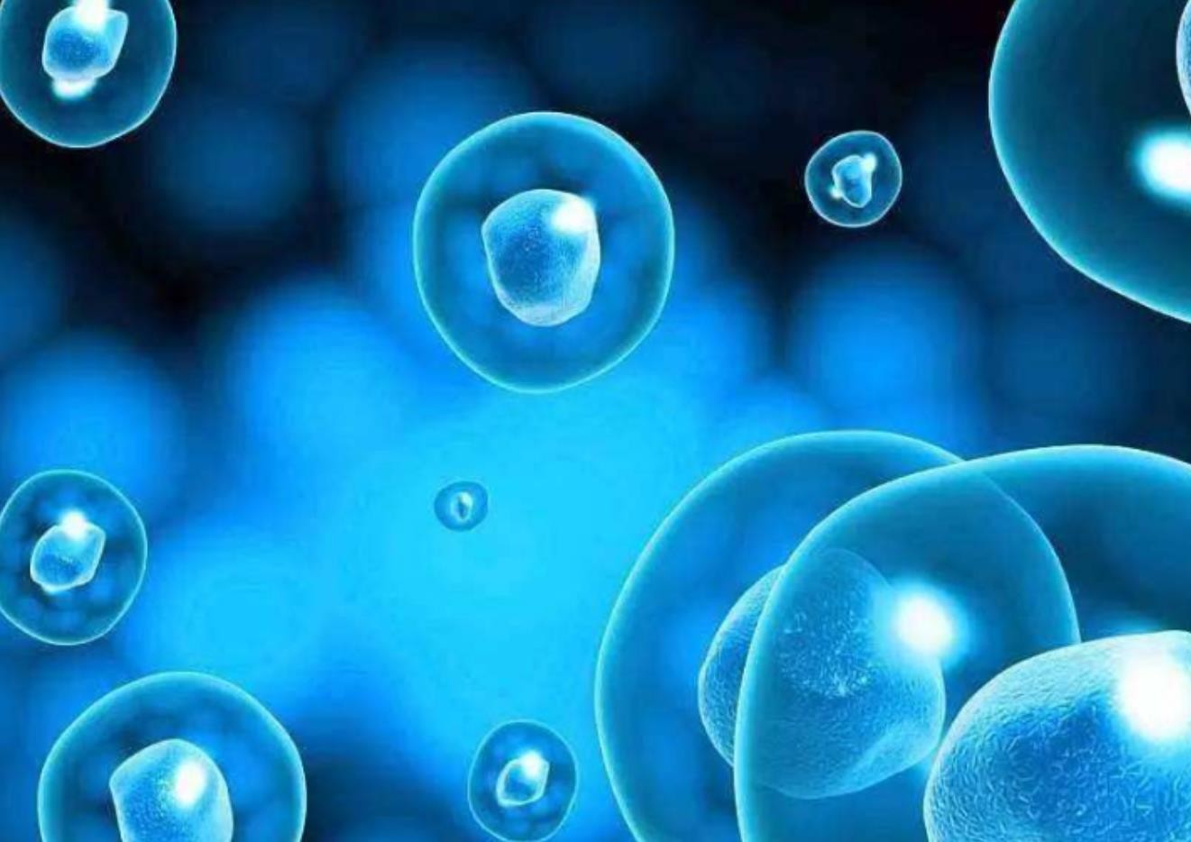 细胞治疗新锐士泽生物完成近亿元Pre-A轮融资，启明创投和礼来亚洲共同领投