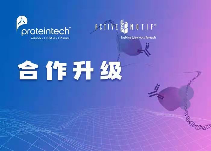Proteintech战略投资表观遗传学专家Active Motif,完善“人类抗体组计划”