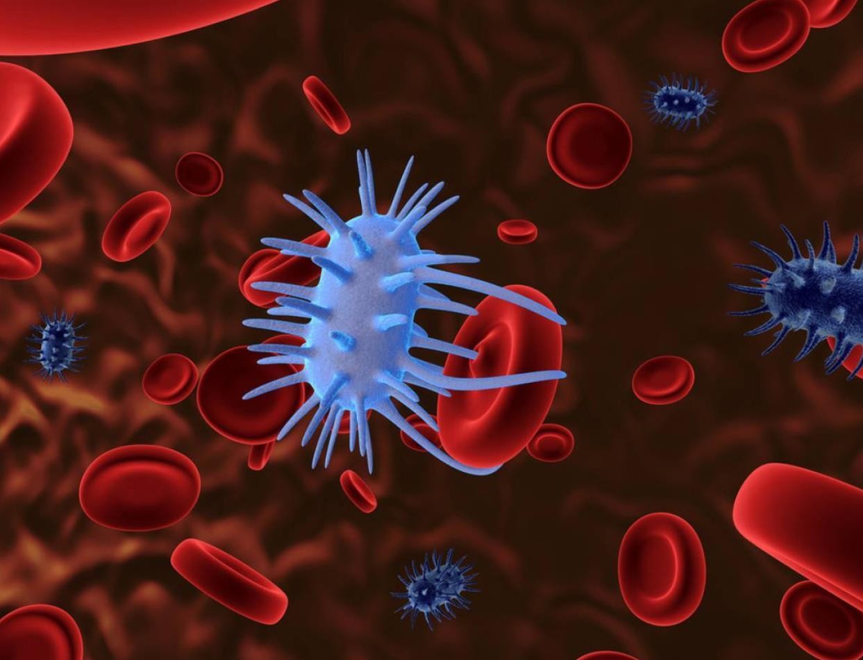 基石药业ESMO公布艾伏尼布AML中国研究数据  IDH1突变型肿瘤迎来新疗法