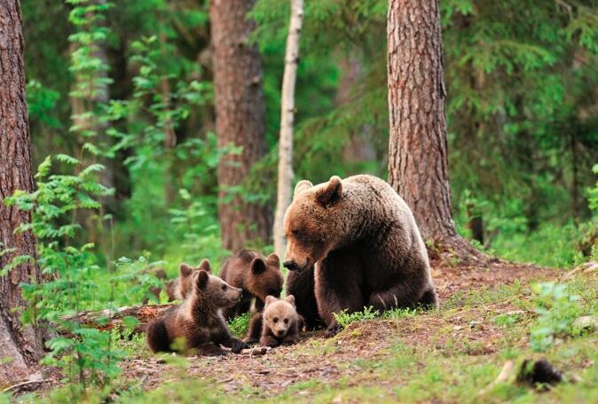 习近平：加强国家生物安全风险防控和治理体系建设，提高国家生物安全治理能力