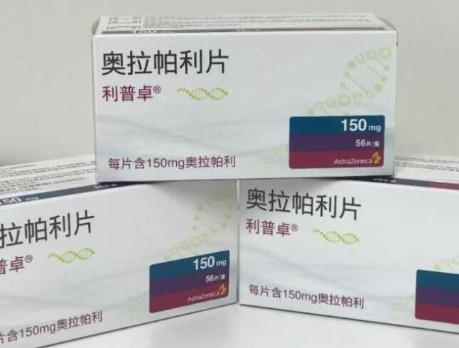 卵巢癌重磅药奥拉帕利国内首仿，齐鲁制药抢先申报 