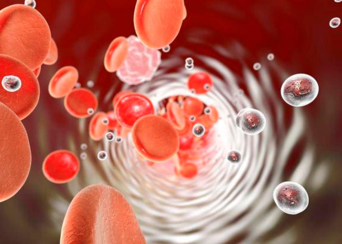 基石药业同类首创药物艾伏尼布一线治疗急性髓系白血病全球研究入选ASH年会