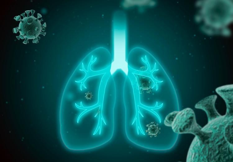 君实生物口服抗新冠病毒药物VV116公布3项I期临床数据