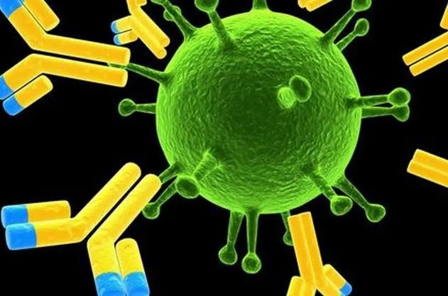 又一款ADC药物国内申报上市