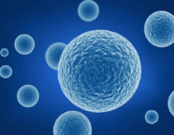 博生吉靶向B7-H3嵌合抗原受体T细胞注射液获得美国FDA孤儿药资格认定