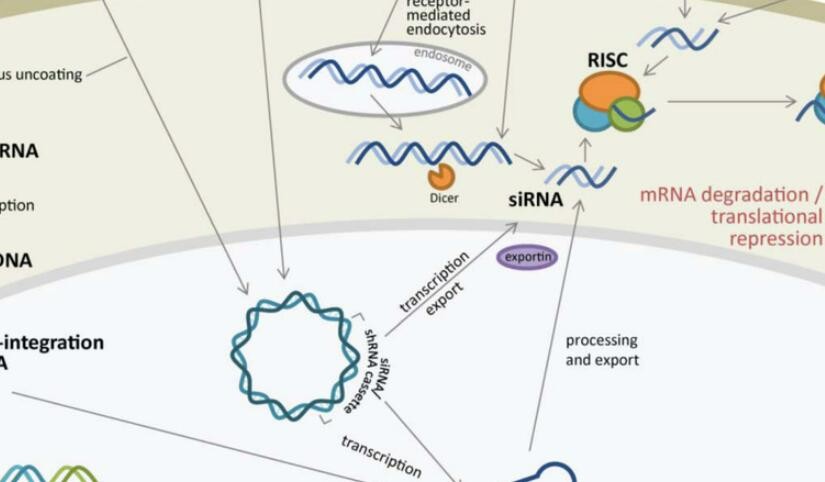 舶望制药宣布完成超4亿元的A轮融资