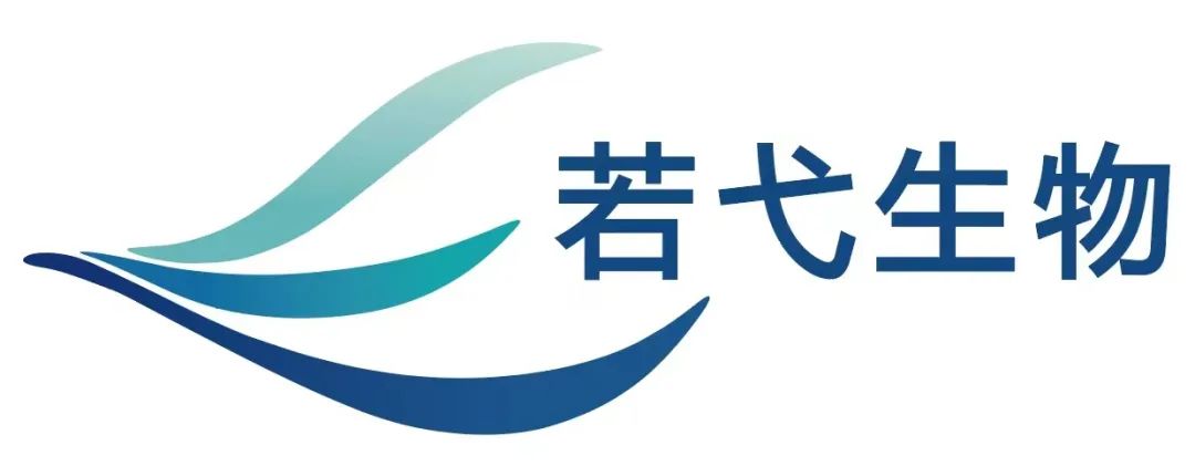 若弋生物完成5000万元天使轮融资，专注锌指蛋白药物递送技术