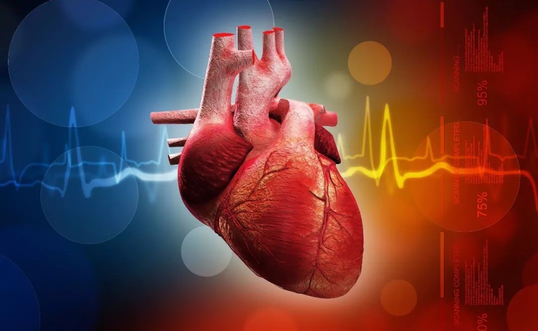 赛诺菲中国心血管产品线再添“猛将”，迈达龙正式上市