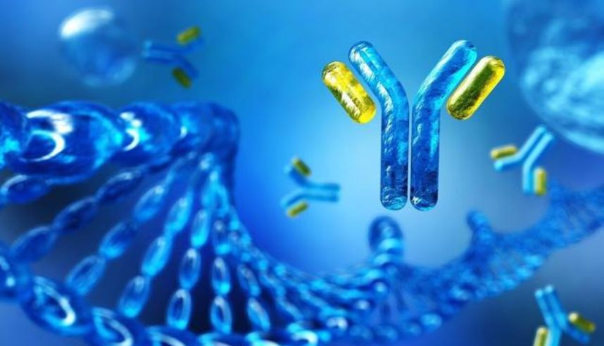 “双特异性抗体”缘何受青睐，填补临床需求凸显强大平台优势