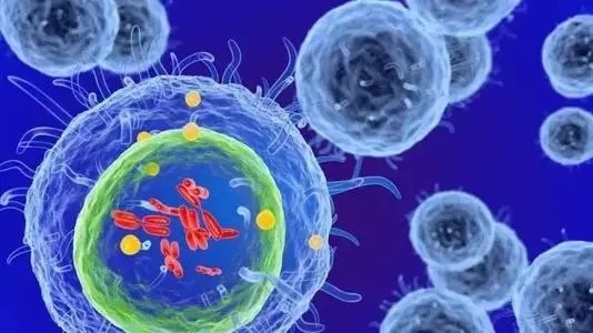 AFM13+脐血来源NK细胞治疗，完全缓解率达62%