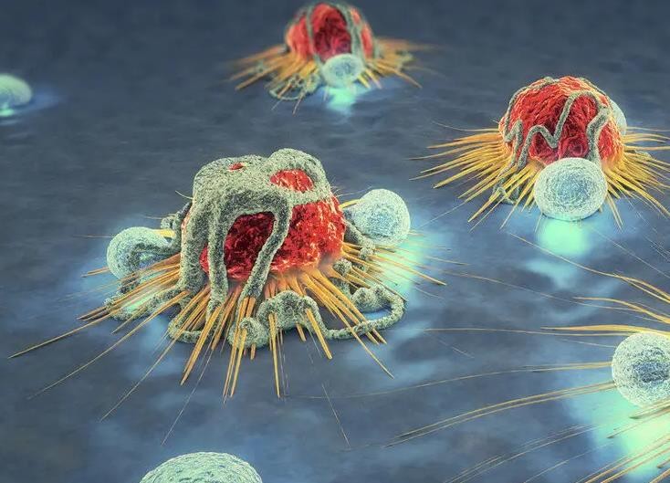 锐格医药宣布自主研发的新一代肿瘤靶向抑制剂RGT-419B完成I期临床试验首例患者给药