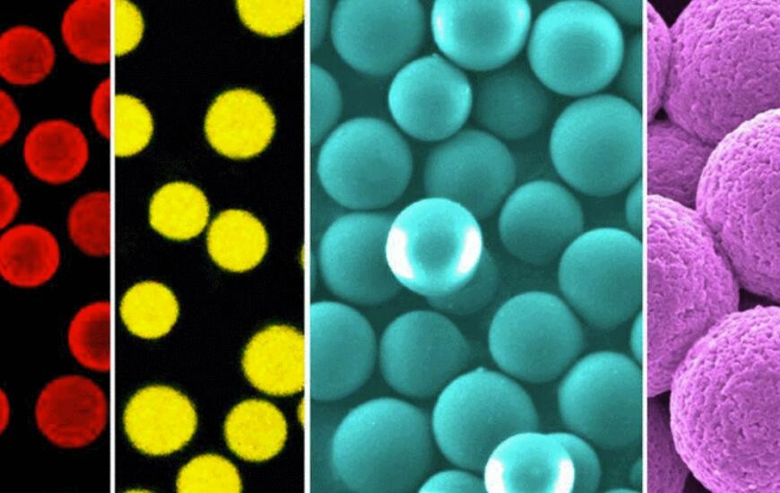 阿卡索生物完成2千万元人民币的天使轮融资