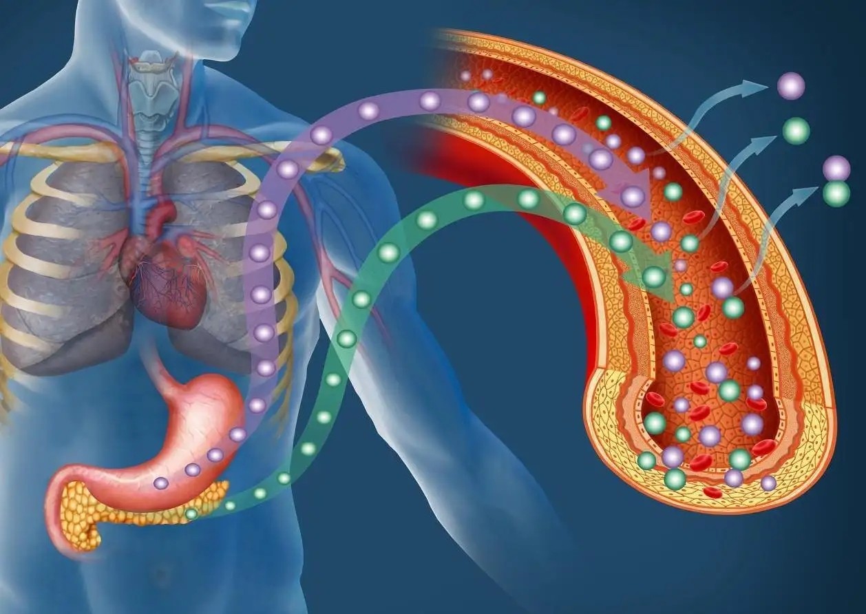 突破国内近23年没有针对胰腺癌治疗方案获批现状，施维雅胰腺癌治疗药物易安达在中国获批