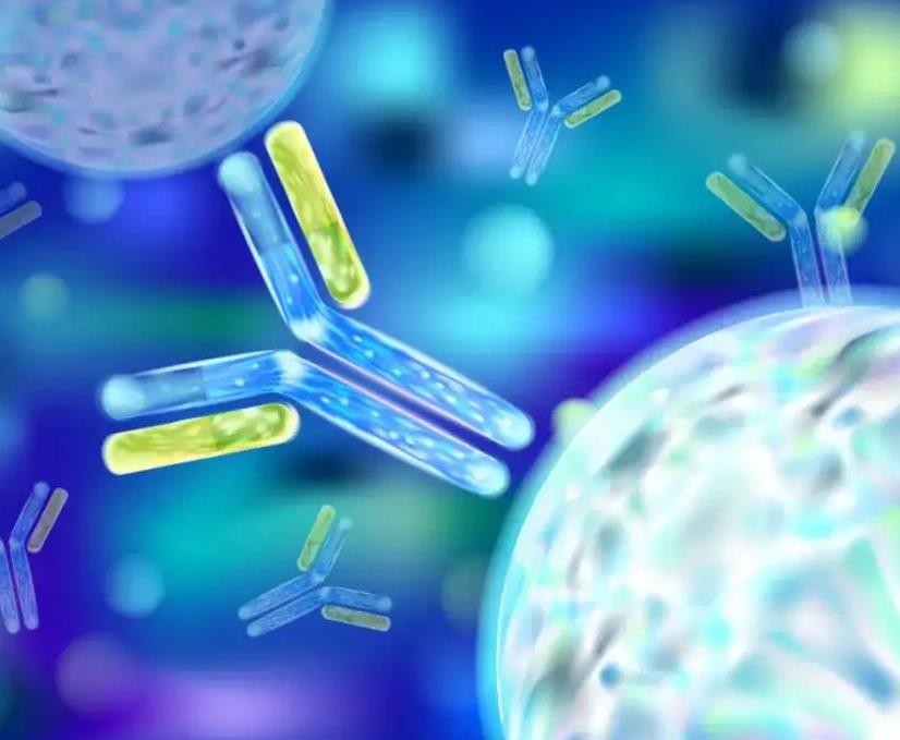 靶向Claudin 18.2，康诺亚ADC药物获FDA孤儿药资格