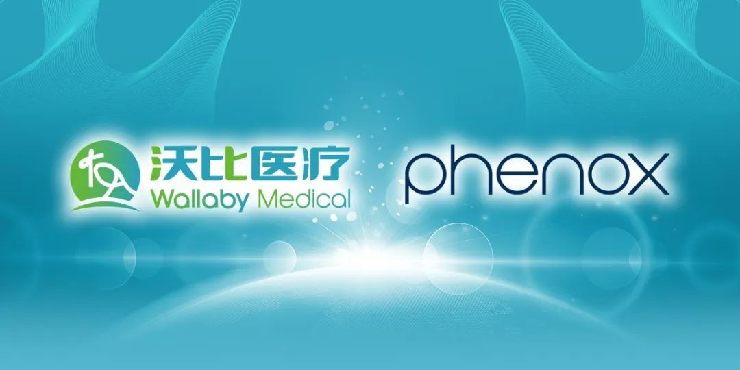 沃比医疗5亿欧元收购德国神经介入企业phenox，加速全球布局