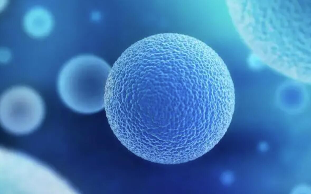 又一款TIL细胞疗法获国家药监局临床试验默示许可