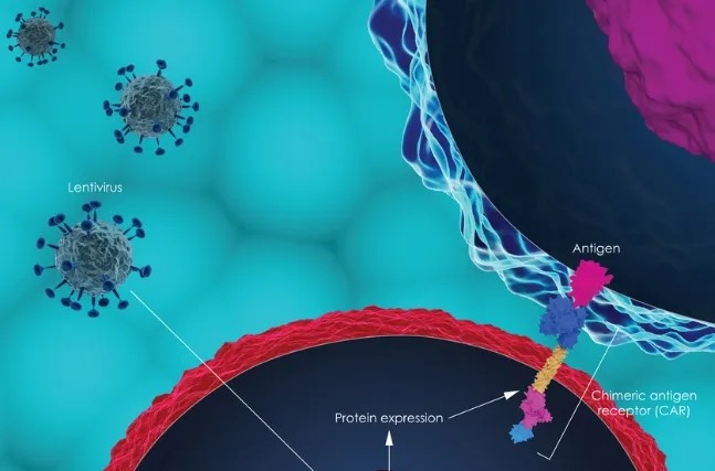 星汉德生物TCR-T药物获新加坡药监局IND批准