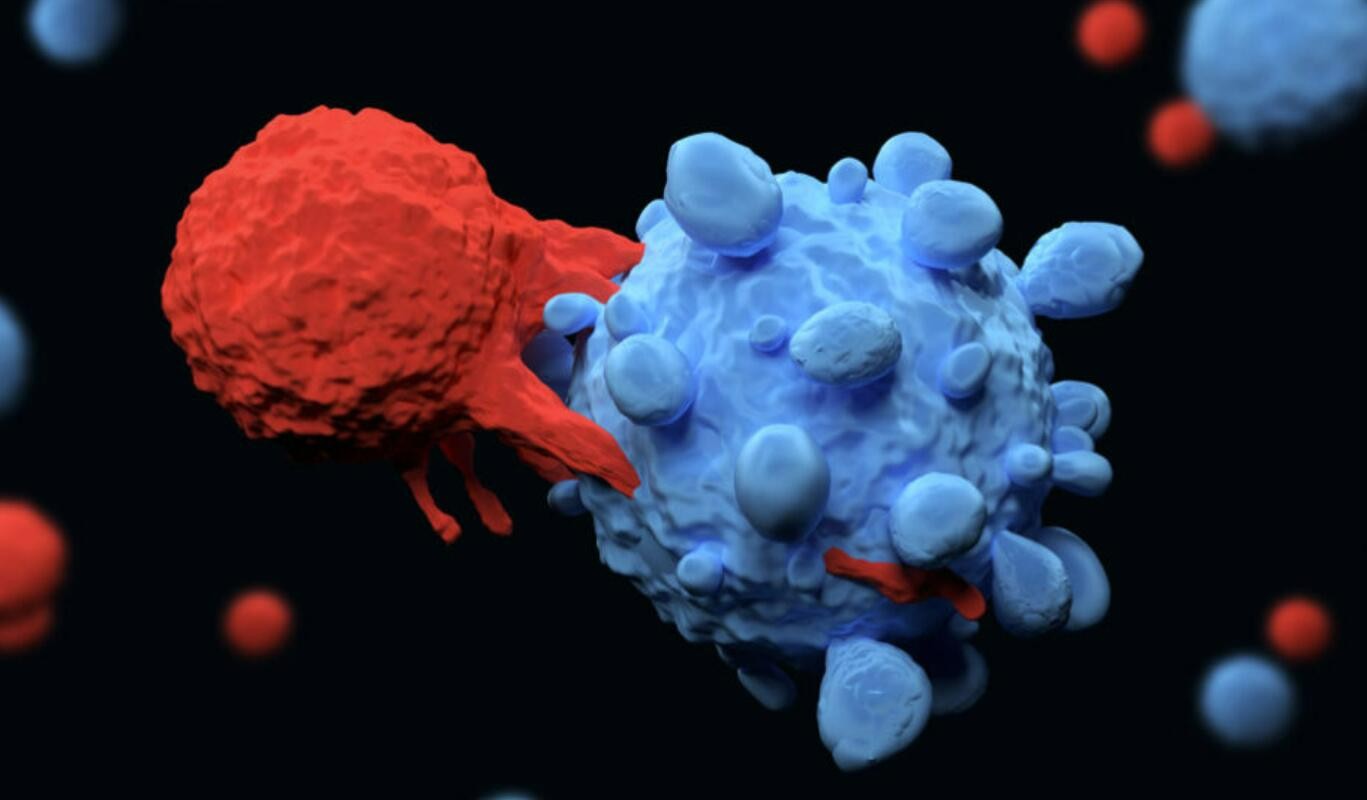 传奇生物CAR-T细胞疗法西达基奥仑赛(cilta-cel)获欧盟附条件上市许可