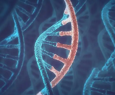 圣诺医药启动RNAi治疗药物进行用于医学美容治疗的成人腹部减脂整形I期临床研究