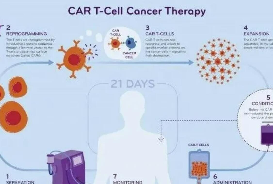 传奇生物靶向Claudin 18.2的CAR-T疗法治疗实体瘤临床试验申请获FDA批准