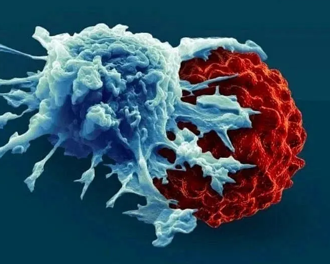 传奇生物在2022 ASCO年会公布Cilta-cel最新数据