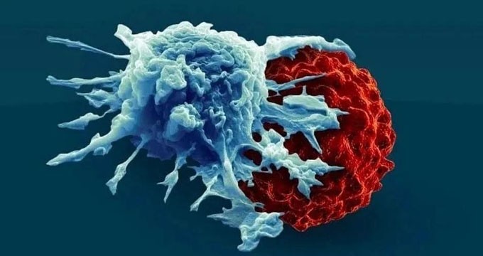 最新全球肿瘤细胞疗法研发和临床盘点