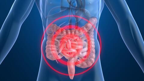 基石药业胃肠道间质瘤精准靶向药物泰時维（阿伐替尼片）获纳入 “全民健康保险”