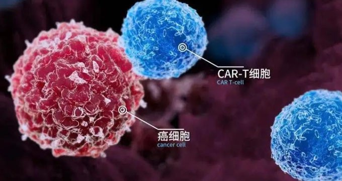 奕凯达上市一周年，中国首个CAR-T细胞治疗产品成绩如何？