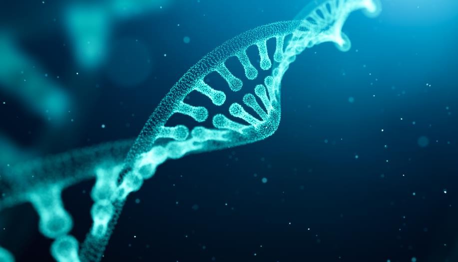 刚获批的这款基因疗法定价280万美元，全球最贵药品再刷新