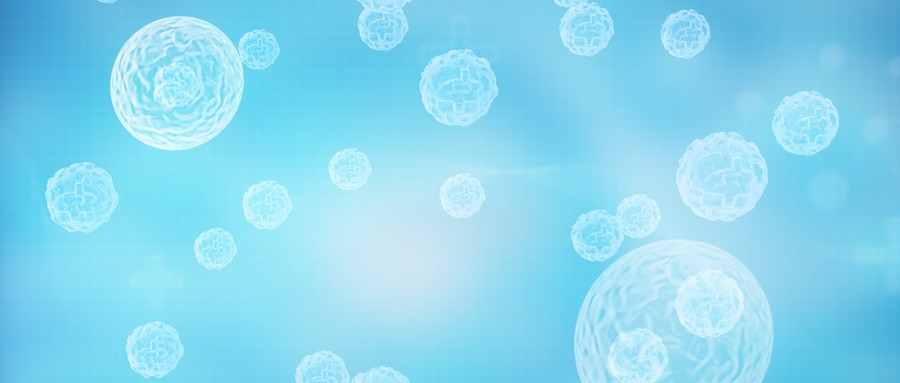 细胞深聚力，智汇大湾区：碧迪医疗助力打造生物医药科创一体 “细胞生态圈”