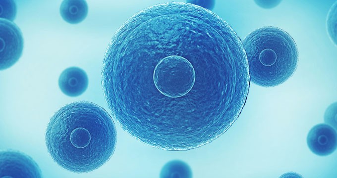 已开具77张处方，药明巨诺CAR-T疗法上半年销售业绩公布