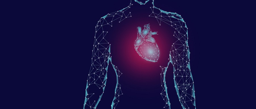 Eur Heart J：恩格列净治疗与射血分数降低心衰患者尿酸水平和预后的关系