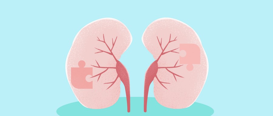 全球创新RDC产品中国IND获批，远大医药持续推进核药抗肿瘤诊疗平台国内落地