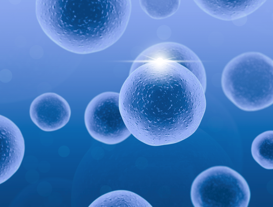 科济药业BCMA CAR-T疗法上市申请获得国家药监局受理